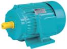 Y series three-phase induction motor