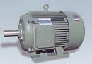 Y Series Three-Phase Induction Motors