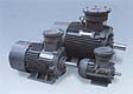 YB Series Flameproof Electric Motors