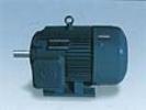 YD Series Multi-Speed Electric Motor