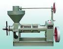 6YL-80 Screw Oil Press 