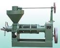 6YL-100 Screw Oil Press  