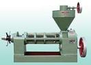 6YL-120 Screw Oil Press